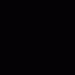 BOSSDJ (2).gif